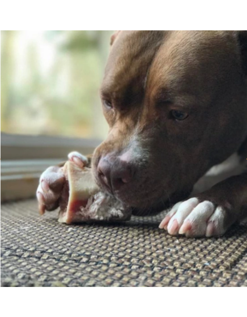 Raw beef marrow bone frozen primal foods medium