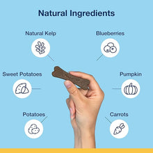 Proden plaque off system mini dental care bones vegetable fusion & blueberry 12oz dog dental treats