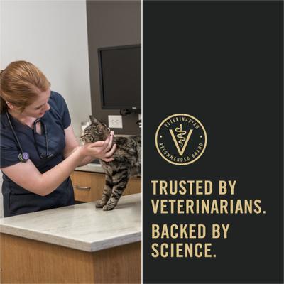 Proplan urinary tract health chicken entree 3 oz canned cat food