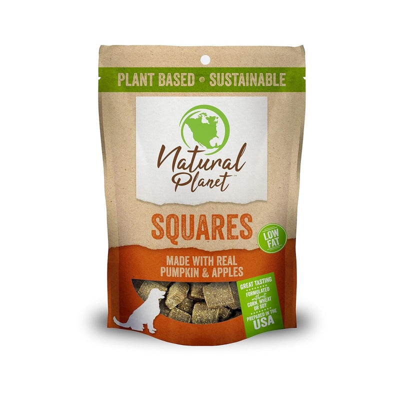 Pumpkin Square Plant Based Dog Treats, 10 Ounce (Pack of 1)