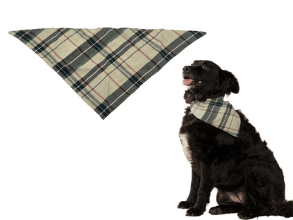 Puppibles plaid cotton bandana
