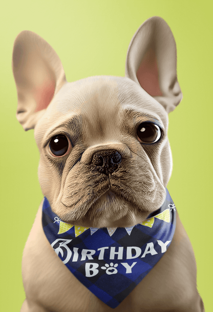 Puppibles plaid cotton luxury birthday bandana - blue