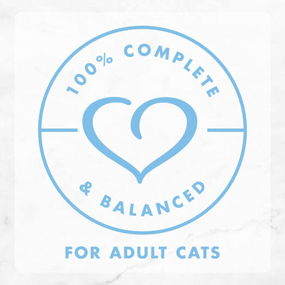 Purina Fancy Feast Creamy Delights Wet Cat Food Variety Salmon)