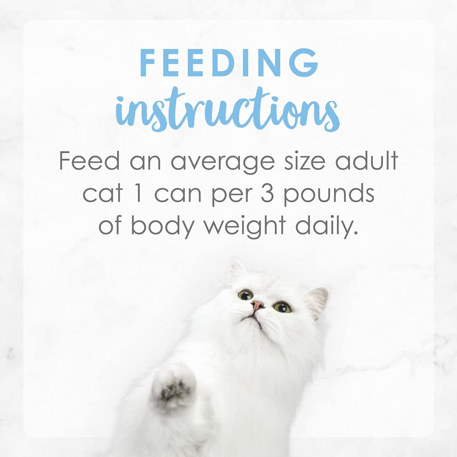 Purina Fancy Feast Creamy Delights Wet Cat Food Variety Salmon)