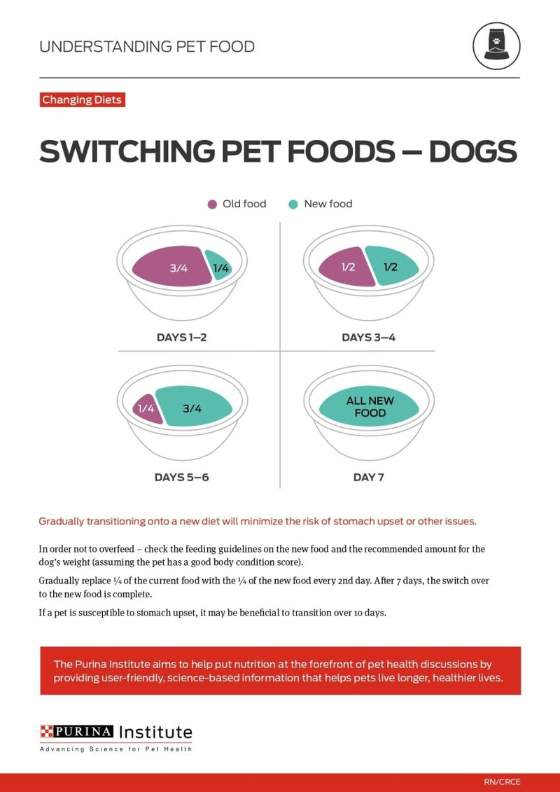 Purina ONE High Protein Wet Dog Food True Instinct Tender Cuts in Dog Food Gravy With Real Beef and Bison 13 oz. Can