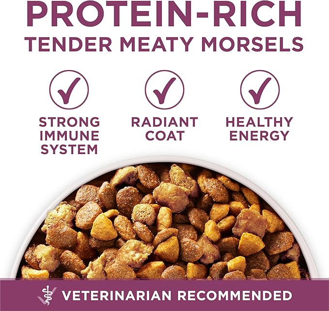 Purina ONE Plus High Protein Natural Healthy Formula with Vitamins Minerals & Nutrients Dry Puppy Food, 8 lbs.