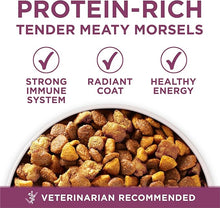 Purina ONE Plus High Protein Natural Healthy Formula with Vitamins Minerals & Nutrients Dry Puppy Food, 8 lbs.