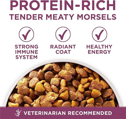 Purina ONE Plus High Protein Natural Healthy Formula with Vitamins Minerals & Nutrients Dry Puppy Food, 8 lbs.