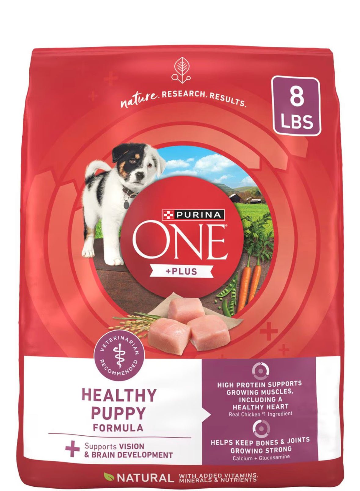 Purina ONE Plus High Protein Natural Healthy Formula with Vitamins Minerals & Nutrients Dry Puppy Food, 8 lbs.