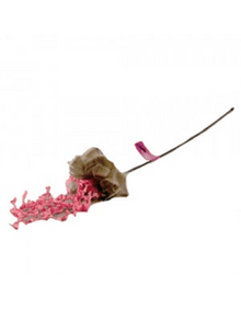 PURRFECT CRAZY KRINKLE CAT TOY