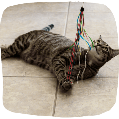 Purrfect wild hemp cat toy