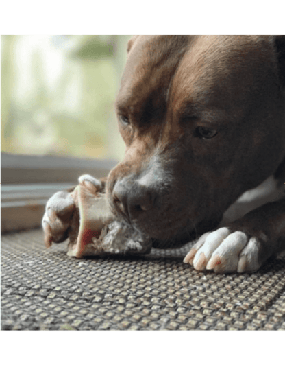 Raw beef marrow bone frozen primal foods medium