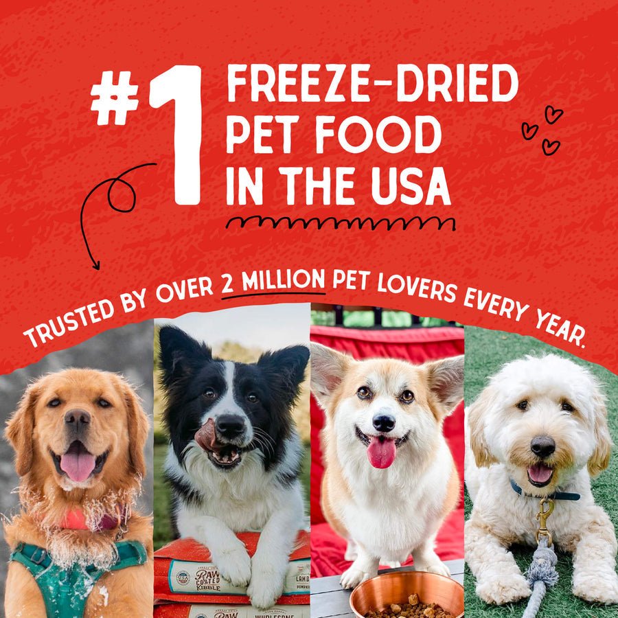 Raw coated kibble Stella and Chewy’s freeze dried oven baked cage free duck recipe