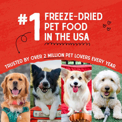 Raw coated kibble Stella and Chewy’s freeze dried oven baked cage free duck recipe