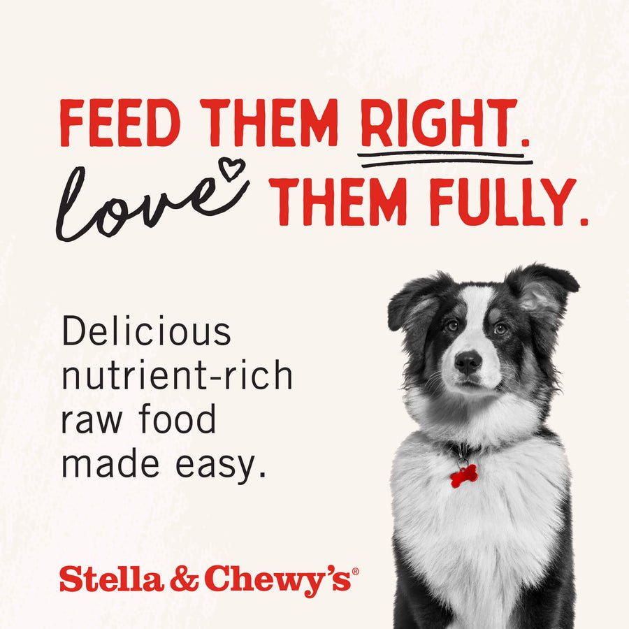 Raw coated kibble Stella and Chewy’s freeze dried oven baked cage free duck recipe