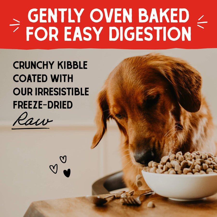 Raw coated kibble Stella and Chewy’s freeze dried oven baked cage free duck recipe