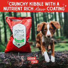 Raw coated kibble Stella and Chewy’s freeze dried oven baked cage free duck recipe