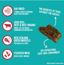 RawTernative Air Dried Dog Food, High Protein, Over 90% Real Salmon & Beef + New Zealand Green Lipped Mussels, Complete Meal or Topper, Grain Free, Gluten Free, Non GMO, (5 oz Bag)