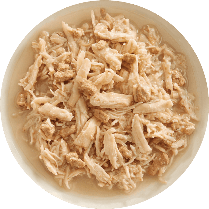 Rawz shredded chicken and duck canned cat food