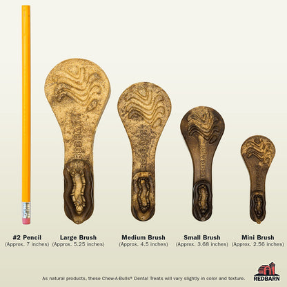 Redbarn Chew - A - Bulls (Size: Large, Shape: Brush, 6 - Count (Pack of 1))