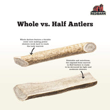 Redbarn Half Deer Antler X - Large for Dogs
