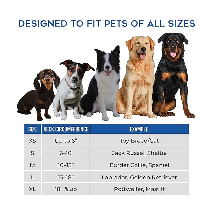 Remedy recovery inflatable recovery collar for dogs large