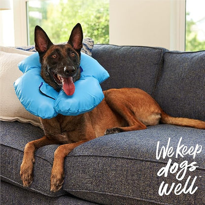 Remedy recovery inflatable recovery collar for dogs large