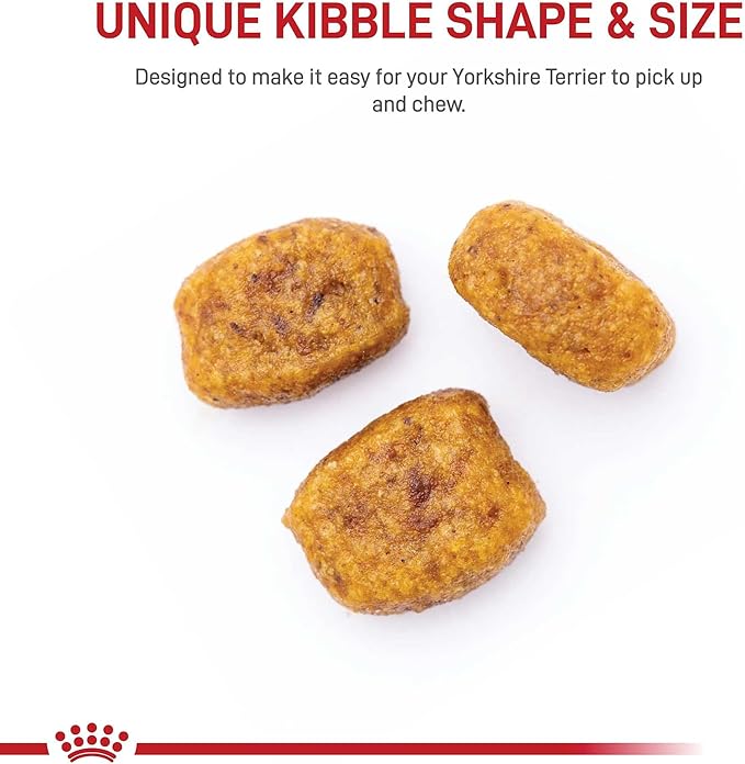 Royal Canin Breed Health Nutrition Yorkshire Terrier Breed Specific Adult Dog Dry Food