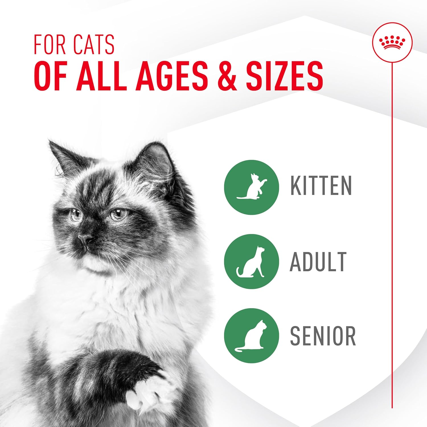 Royal canin cat probiotics 7 pack
