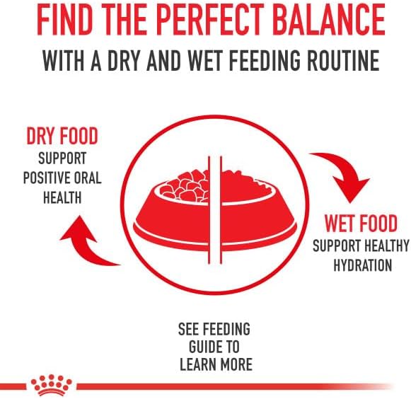 Royal canin indoor cat canned cat food 3oz morsels in gravy adult cats wet food