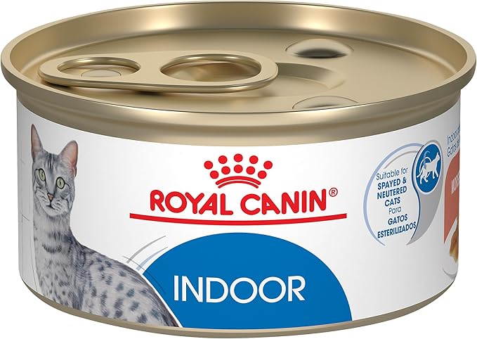 Royal canin indoor cat canned cat food 3oz morsels in gravy adult cats wet food