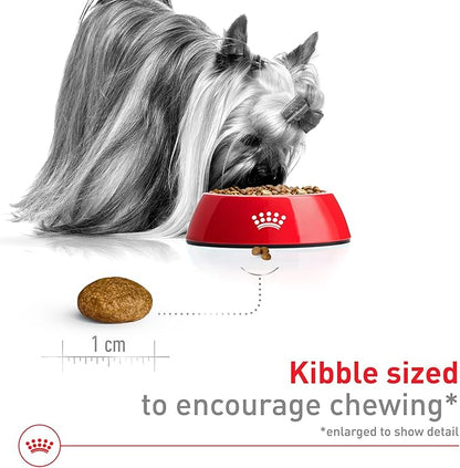 Royal Canin® Size Health Nutrition X - Small Breed Adult Dog Dry Food - 2.5 lb