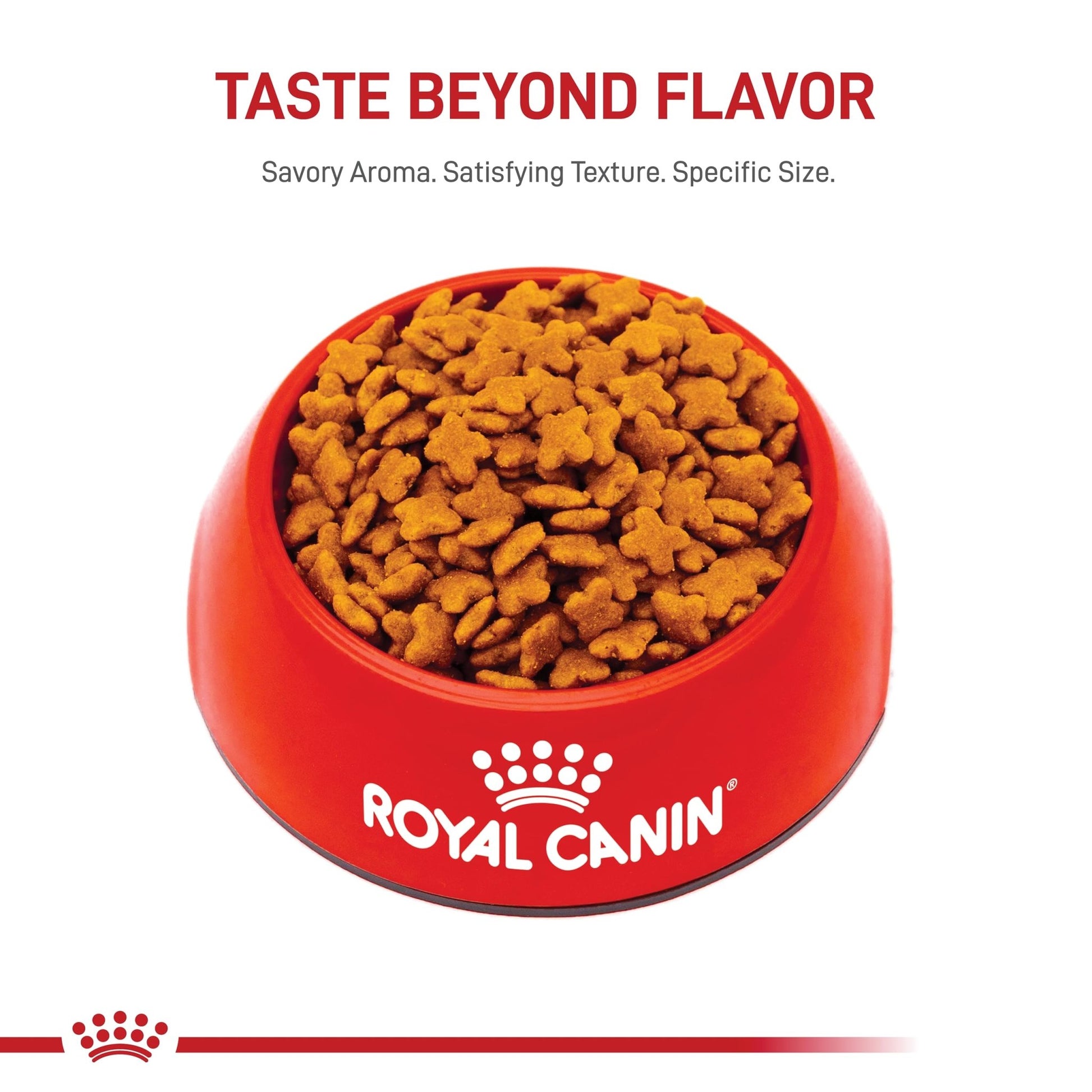 Royal Canin Small Adult 8+ Dry Dog Food, 2.5 lb Bag - Nutrition for Senior Small Breed Dogs