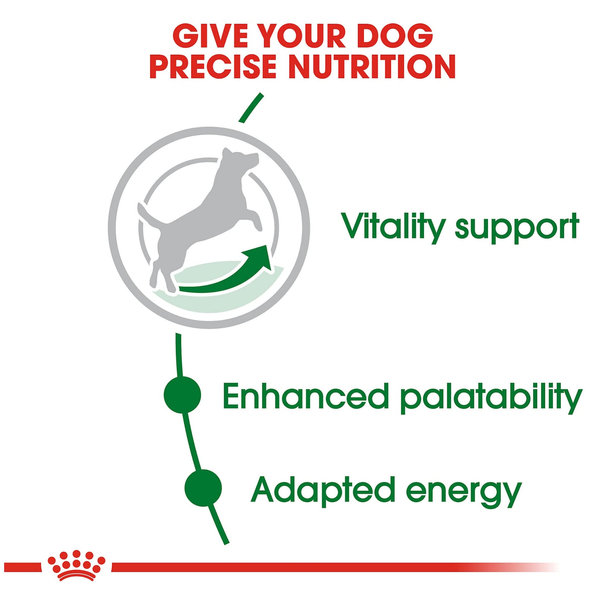 Royal Canin Small Adult 8+ Dry Dog Food, 2.5 lb Bag - Nutrition for Senior Small Breed Dogs