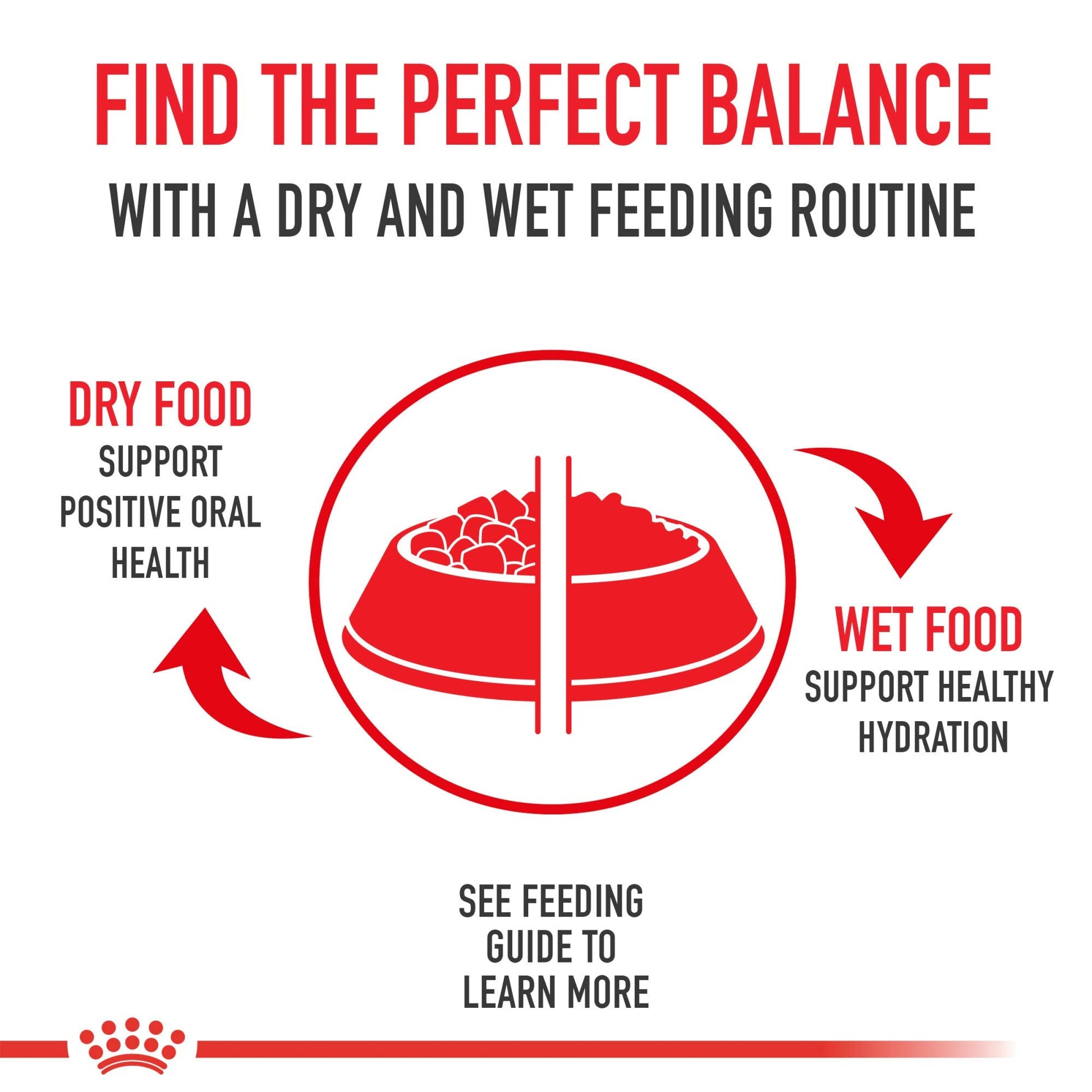 Royal Canin Small Adult 8+ Dry Dog Food, 2.5 lb Bag - Nutrition for Senior Small Breed Dogs