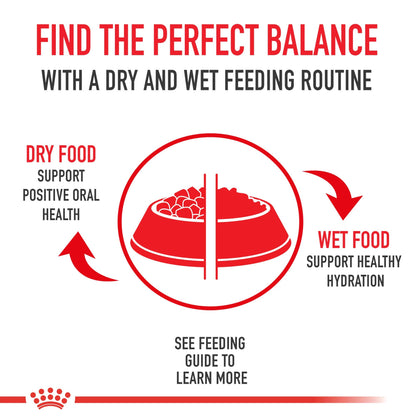 Royal Canin Small Adult 8+ Dry Dog Food, 2.5 lb Bag - Nutrition for Senior Small Breed Dogs