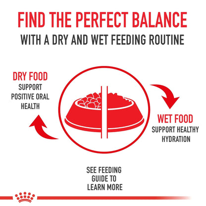 Royal Canin Small Indoor Adult Dry Dog Food, 2.5 lb Bag - Tailored Nutrition for Indoor Small Breed Dogs