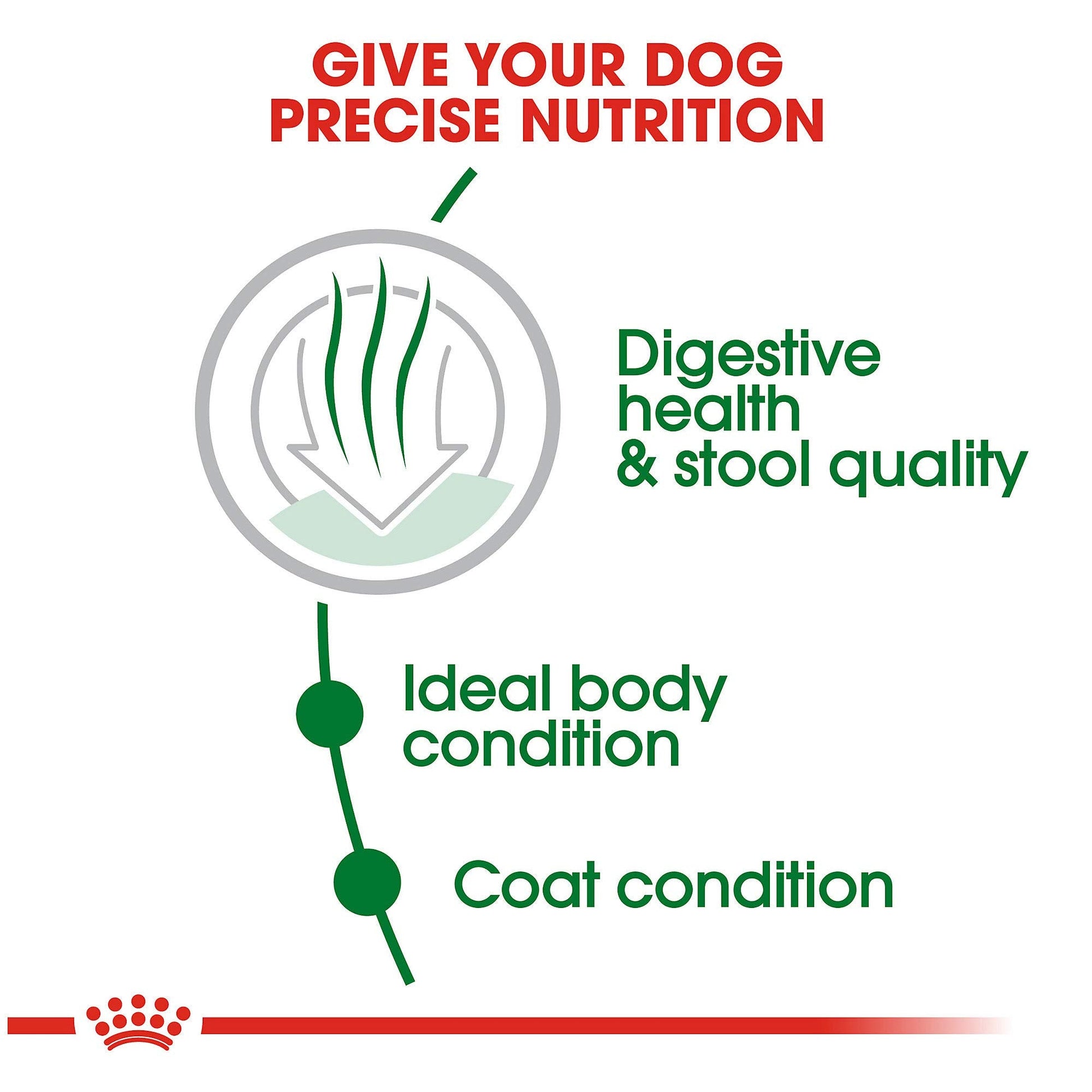 Royal Canin Small Indoor Adult Dry Dog Food, 2.5 lb Bag - Tailored Nutrition for Indoor Small Breed Dogs