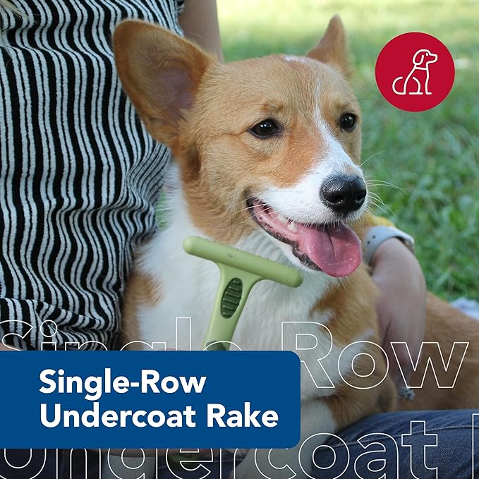 Safari double row rake de shed dog