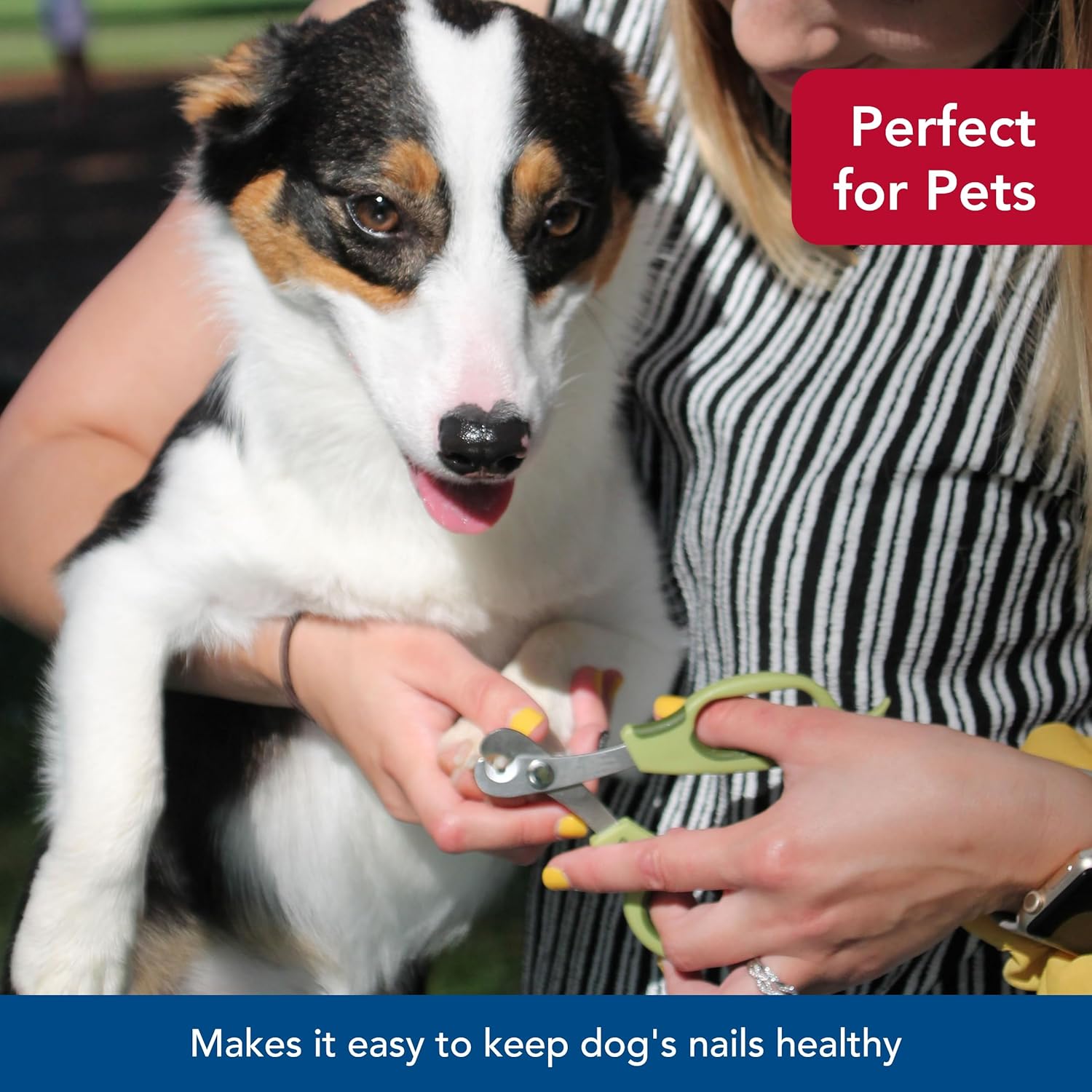 Safari nail trimmer medium/ large dogs