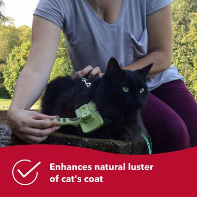 Safari stainless steel pin flexible slicker cat brush