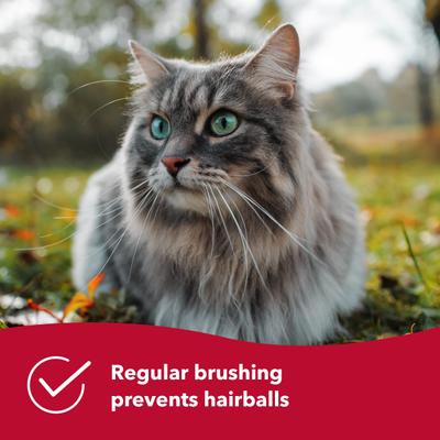 Safari stainless steel pin flexible slicker cat brush