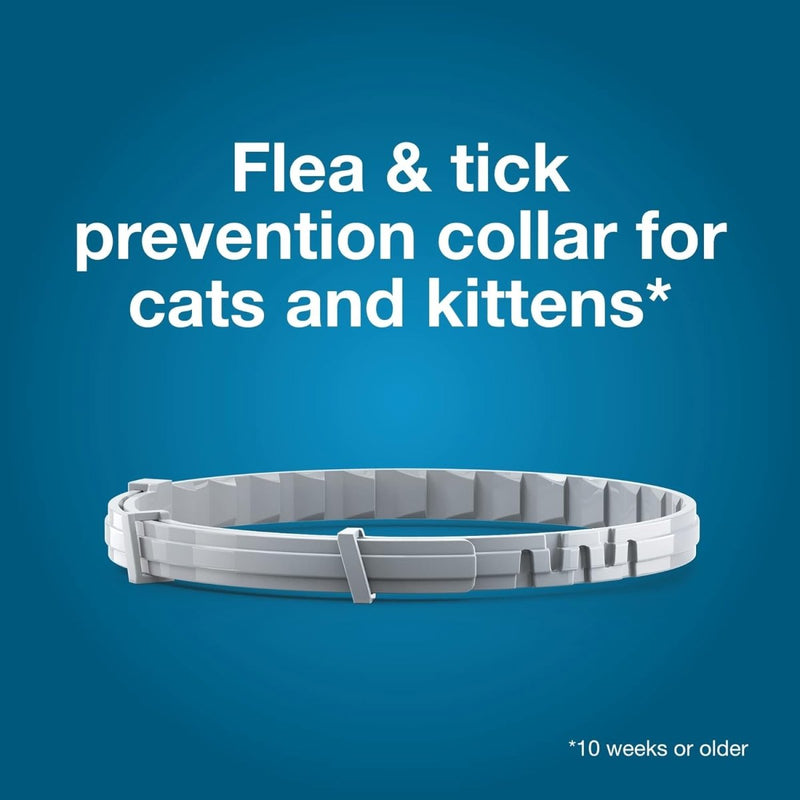 Seresto Cat Vet - Recommended Flea & Tick Treatment & Prevention Collar for Cats - 8 Months Protection