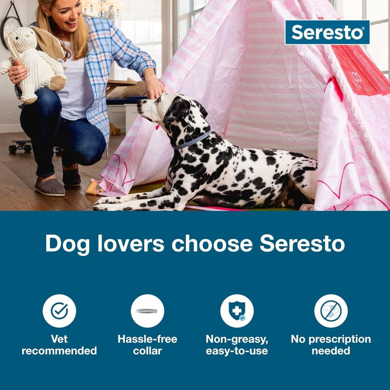 Seresto Large Dog Vet - Recommended Flea & Tick Treatment & Prevention Collar for Dogs Over 18 lbs. - 8 Months Protection