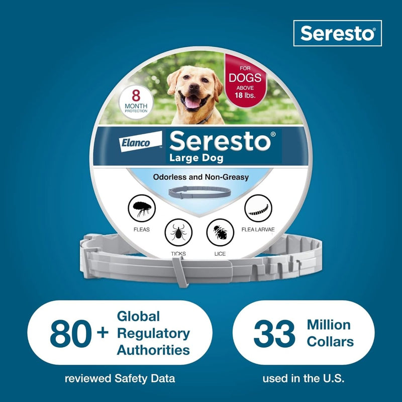 Seresto Large Dog Vet - Recommended Flea & Tick Treatment & Prevention Collar for Dogs Over 18 lbs. - 8 Months Protection