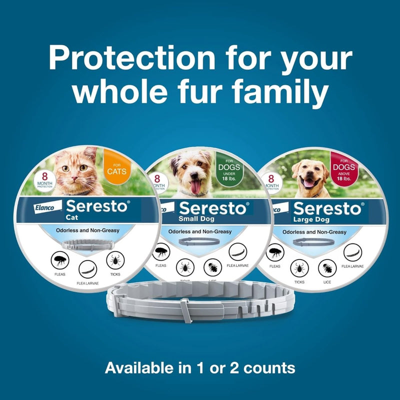 Seresto Small Dog Vet - Recommended Flea & Tick Treatment & Prevention Collar for Dogs Under 18 lbs - 8 Months Protection