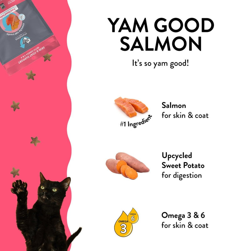 Shameless Pets Crunchy Cat Treats - Kitty Treats for Cats with Skin & Coat Support, Natural Ingredients Kitten Treats with Real Salmon, Healthy Flavored Feline Snacks - Yam Good Salmon, 1 - Pk