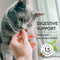 Shameless Pets Digestive Health Catnip & Chill - Chicken Crunchy Cat Treats