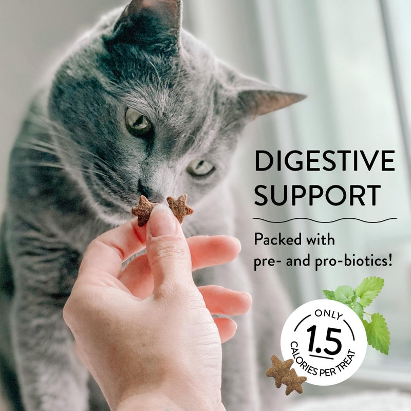 Shameless Pets Digestive Health Catnip & Chill - Chicken Crunchy Cat Treats