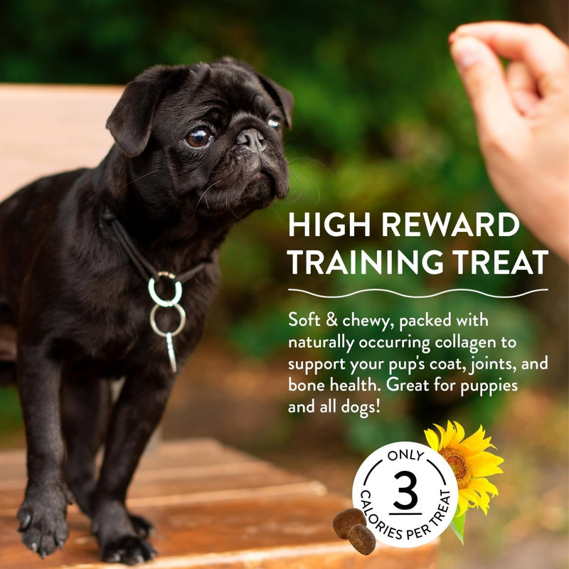 Shameless Pets Dog Training Treats, Bone Broth Chews (Bacon Hits Different) - Natural & Healthy Puppy Dog Treats - Soft Training Treats for Dogs with Naturally Occurring Collagen - Small Dog Treats